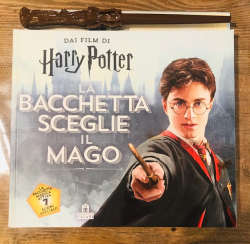 Libro Herry Potter la bacchetta sceglie il mago