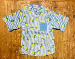 Camicia MC lino righe azz-limoni 6a Vanity